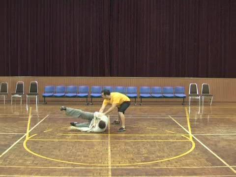 Shaolin Tai Chi Chuan