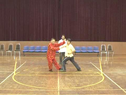 Shaolin Tai Chi Chuan