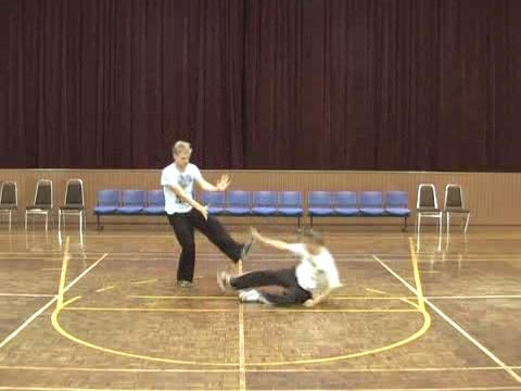 Shaolin Tai Chi Chuan