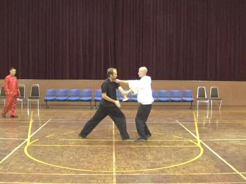 Shaolin Tai Chi Chuan