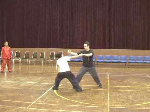 Shaolin Tai Chi Chuan