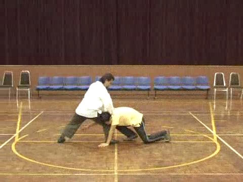 Shaolin Tai Chi Chuan