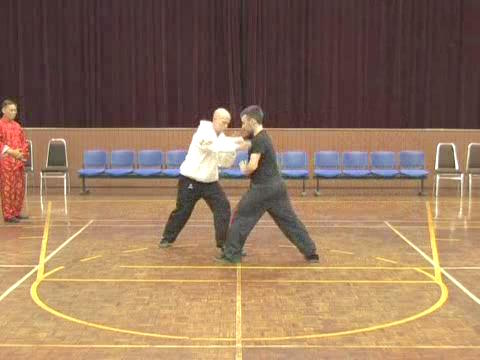 Shaolin Tai Chi Chuan