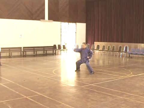 Shaolin Tai Chi Chuan