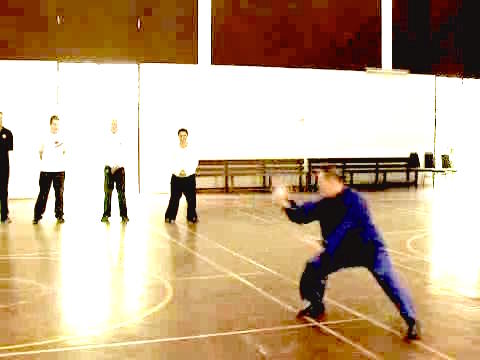 Shaolin Tai Chi Chuan