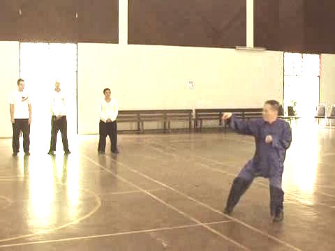 Shaolin Tai Chi Chuan