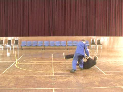 Shaolin Tai Chi Chuan