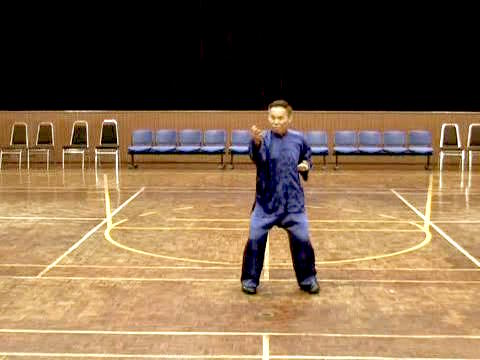 Shaolin Tai Chi Chuan