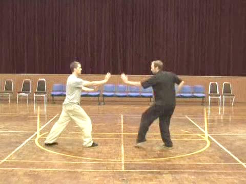 Shaolin Tai Chi Chuan