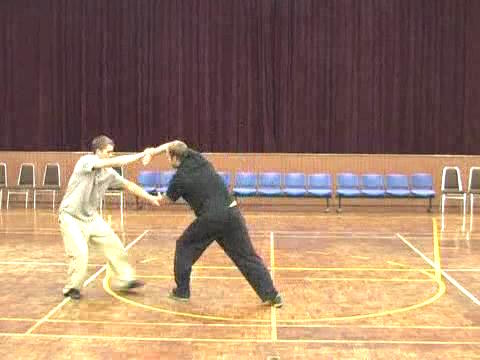 Shaolin Tai Chi Chuan