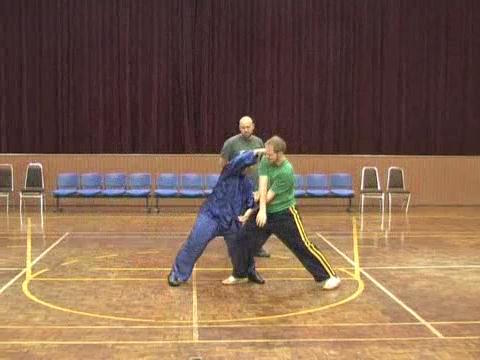 Shaolin Tai Chi Chuan