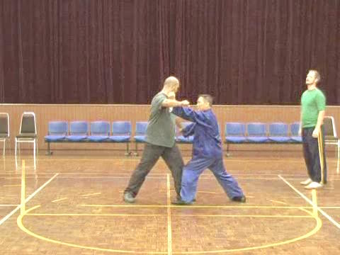 Shaolin Tai Chi Chuan