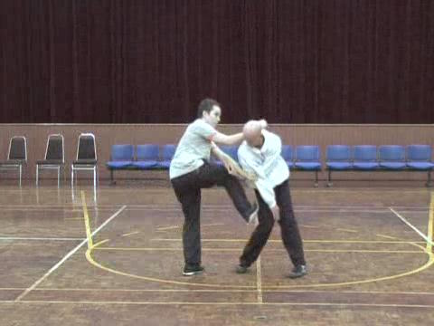 Shaolin Tai Chi Chuan