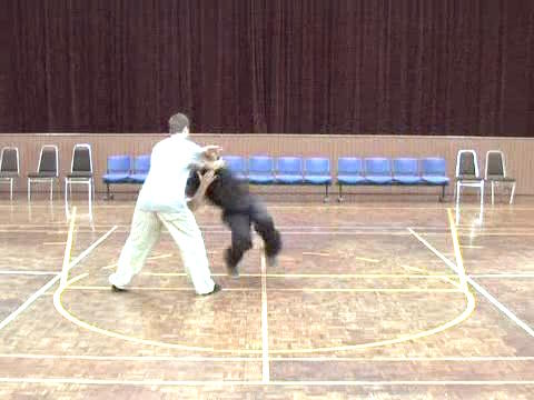 Shaolin Tai Chi Chuan