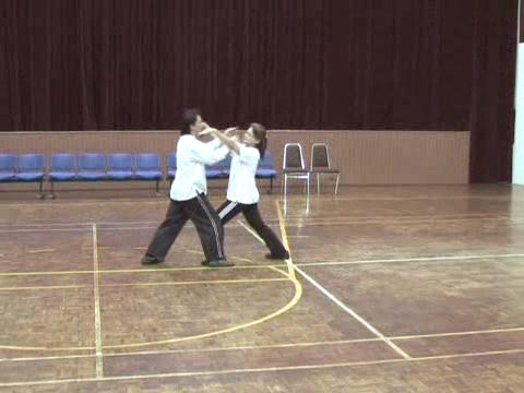 Shaolin Tai Chi Chuan