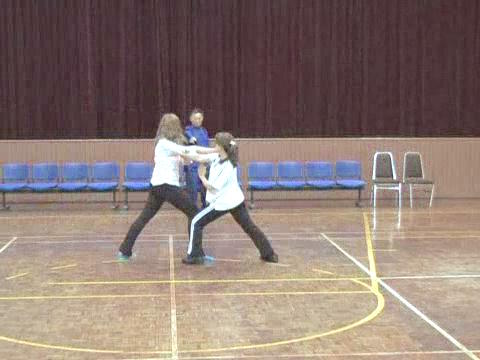 Shaolin Tai Chi Chuan