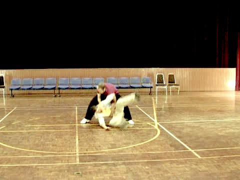 Shaolin Tai Chi Chuan