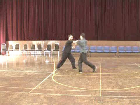 Shaolin Tai Chi Chuan