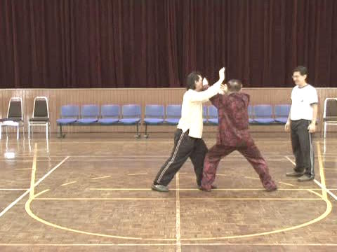 Shaolin Tai Chi Chuan