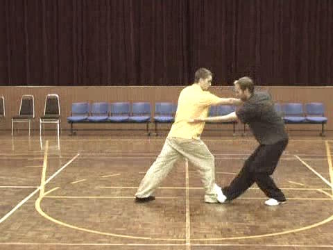 Shaolin Tai Chi Chuan