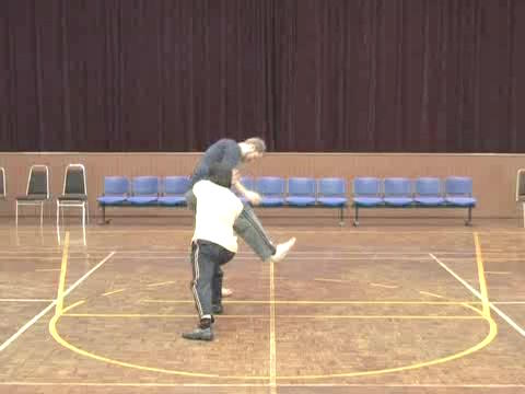 Shaolin Tai Chi Chuan