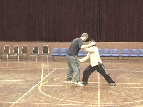 Shaolin Tai Chi Chuan