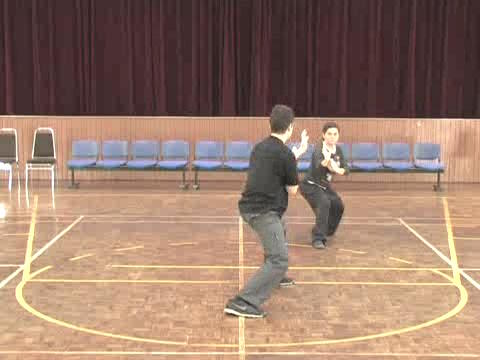 Shaolin Tai Chi Chuan