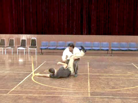 Shaolin Tai Chi Chuan