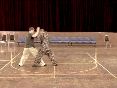 Shaolin Tai Chi Chuan