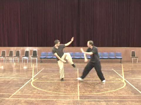 Shaolin Tai Chi Chuan