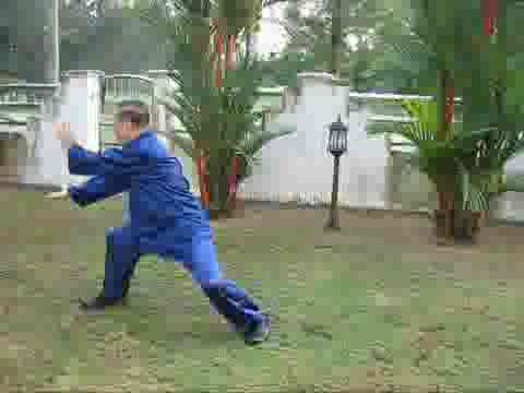 Wudang Taijiquan