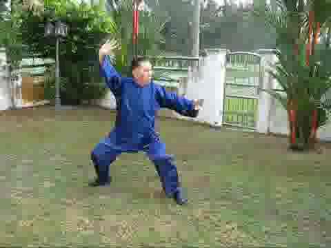 Wudang Taijiquan
