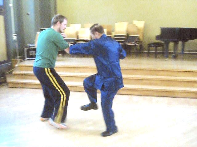 Shaolin Tai Chi Chuan