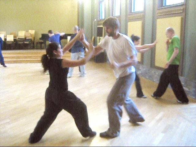 Shaolin Tai Chi Chuan