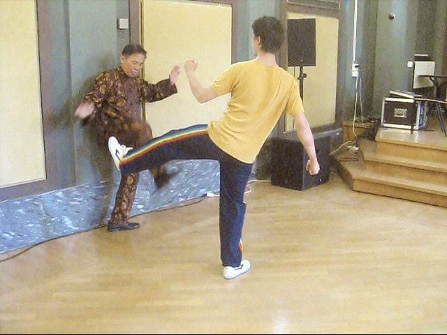Shaolin Tai Chi Chuan