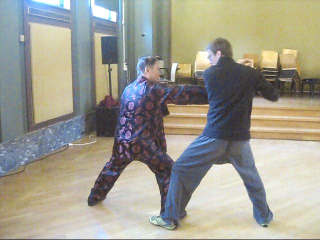 Shaolin Tai Chi Chuan