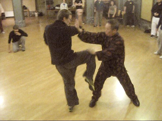 Shaolin Tai Chi Chuan