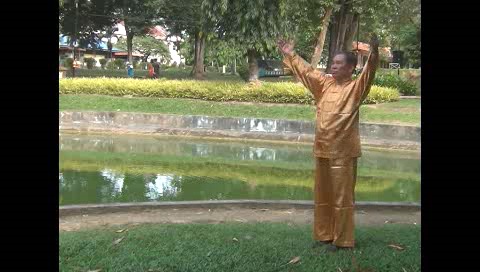 Xingyiquan 12 Animal-Form Continuous Fist