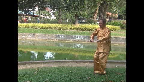 Xingyiquan 12 Animal-Form Continuous Fist