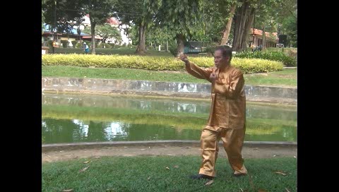 Xingyiquan 12 Animal-Form Continuous Fist