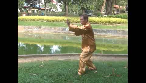 Xingyiquan 12 Animal-Form Continuous Fist