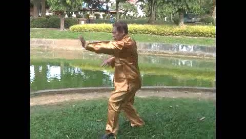 Xingyiquan 12 Animal-Form Continuous Fist