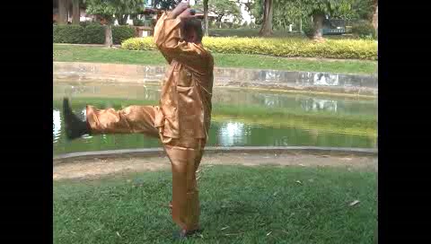 Xingyiquan 12 Animal-Form Continuous Fist