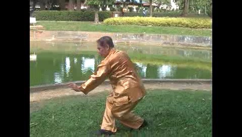 Xingyiquan 12 Animal-Form Continuous Fist