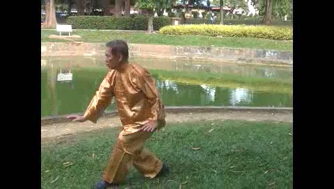 Xingyiquan 12 Animal-Form Continuous Fist