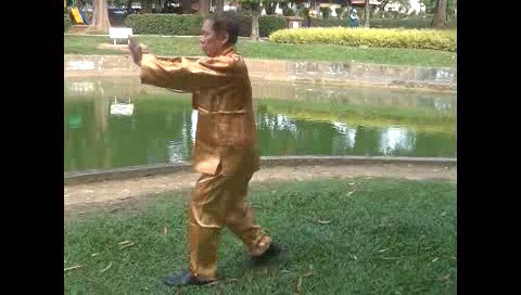 Xingyiquan 12 Animal-Form Continuous Fist