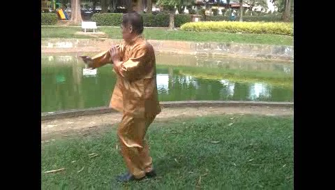 Xingyiquan 12 Animal-Form Continuous Fist