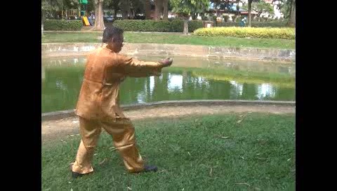 Xingyiquan 12 Animal-Form Continuous Fist