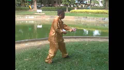 Xingyiquan 12 Animal-Form Continuous Fist