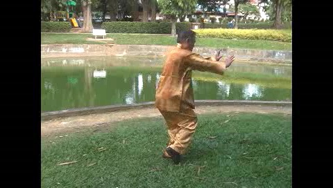 Xingyiquan 12 Animal-Form Continuous Fist